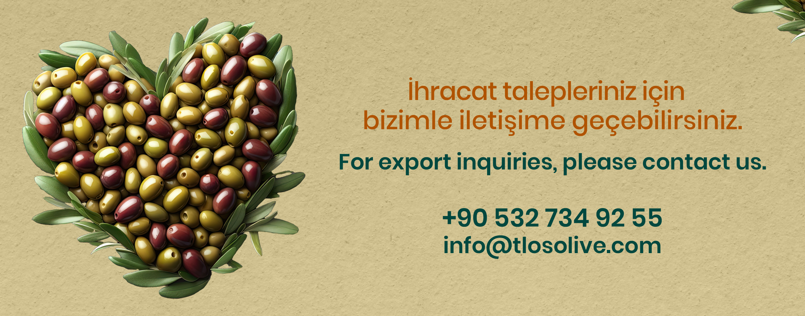 Export